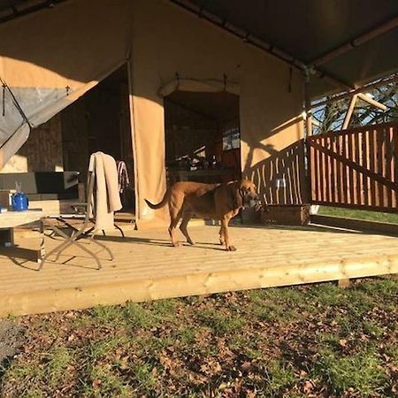 Lapwing Safari Tent Cheltenham Esterno foto